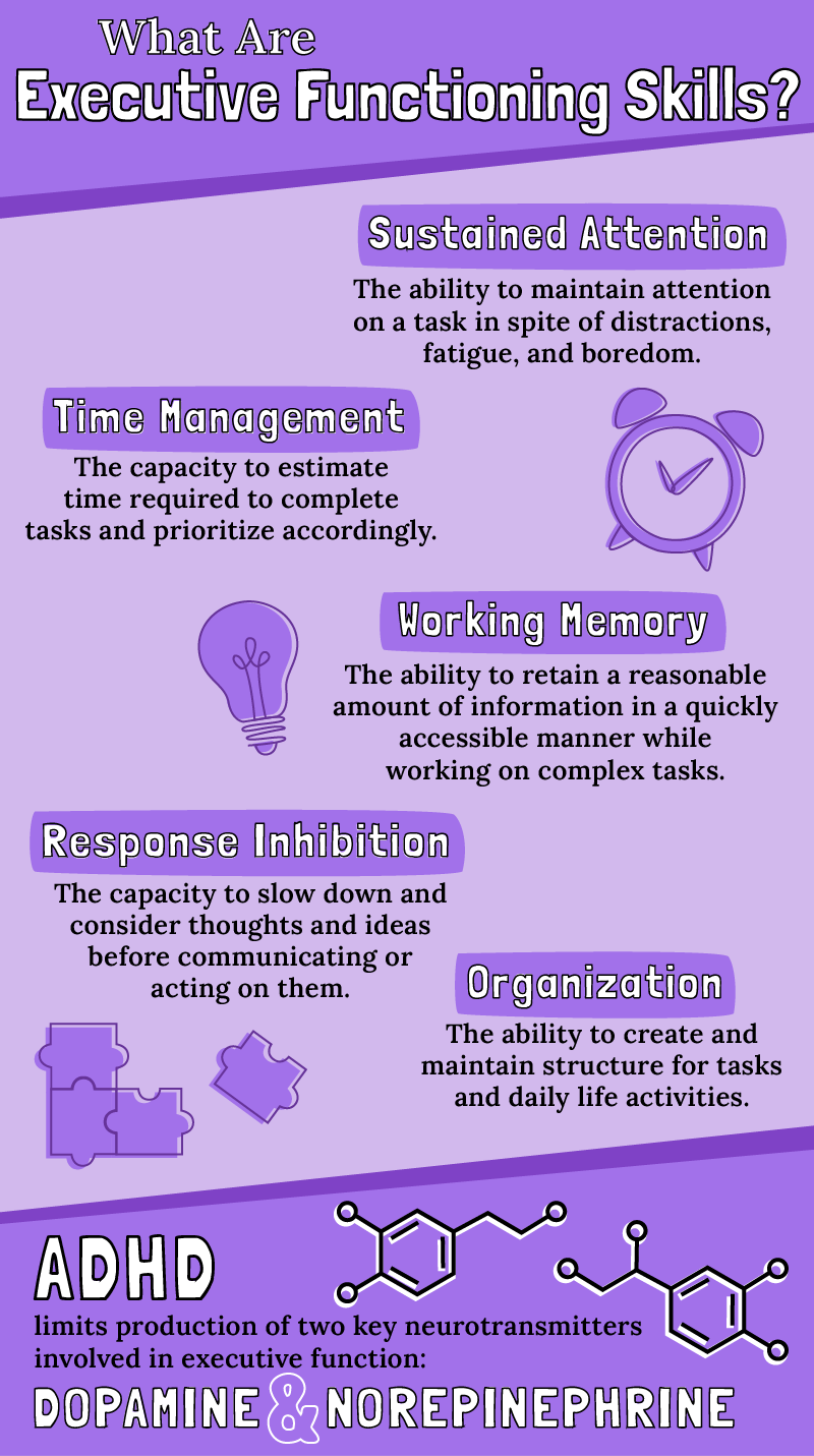 infographic about executive function