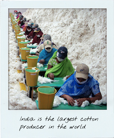 cotton-factory